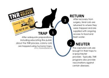 Neuter store and release